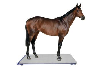 Klein Vee & Paardenweegschaal  1000kg x 200g, Verzenden, Nieuw