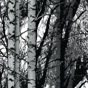 Plakfolie, plakplastic bos en berken bomen, Nieuw