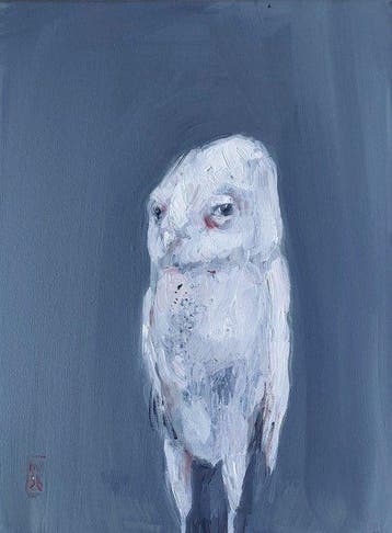 Dorien Plaat - Owly look