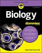 9781119345374 Biology for Dummies Rene Fester Kratz, Verzenden, Nieuw, Rene Fester Kratz