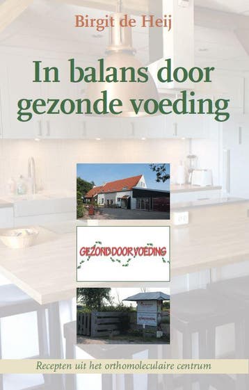 In balans door gezonde voeding - Birgit de Heij, Boeken, Verzenden, Zo goed als nieuw, Birgit de Heij