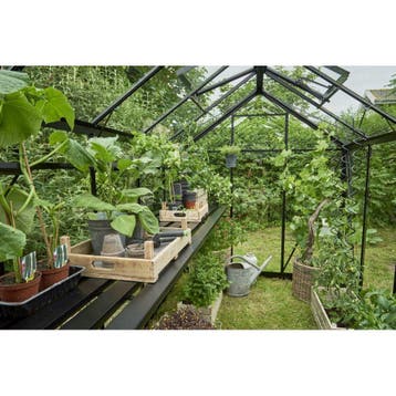 Juliana kweektafel Orangery 15,1 geïntegreerd - zwart, Verzenden, Nieuw
