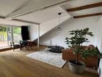 Studio Mergelweg in Maastricht, Overige soorten, Limburg