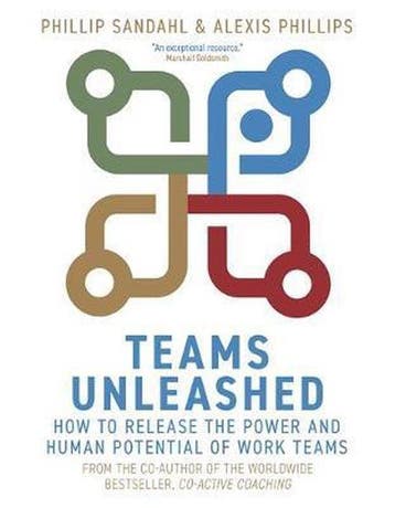 Teams Unleashed How to Release the Power and Human Potential, Verzenden, Gelezen, Alexis Phillips
