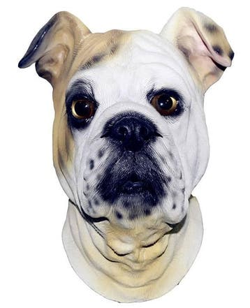 latex hondenmasker bulldog, Verzenden, Nieuw