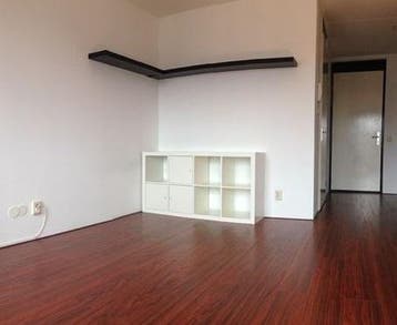 Te Huur 1 Kamer Appartement Bos en Lommerplantsoen In Amster, Direct bij eigenaar, Appartement, Amsterdam, Amsterdam