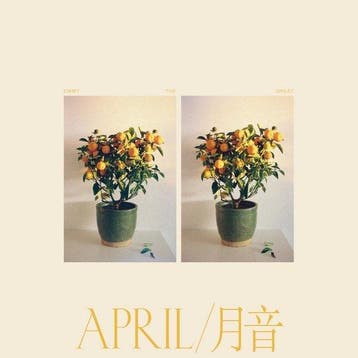 Emmy the Great - April (CD), Verzenden, Nieuw in verpakking