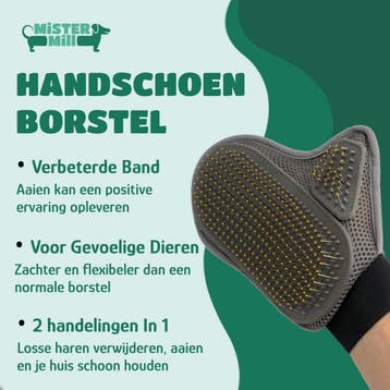 Mister Mill Dierenborstel Handschoen (Rechtshandig) -, Dieren en Toebehoren, Ophalen of Verzenden, Zo goed als nieuw