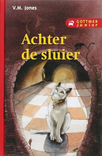 Boek: Achter De Sluier - (als nieuw), Verzenden, Zo goed als nieuw