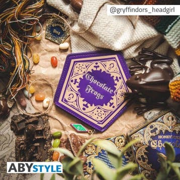 Harry Potter Chocolate Frog Geldbeugel, Ophalen of Verzenden, Nieuw