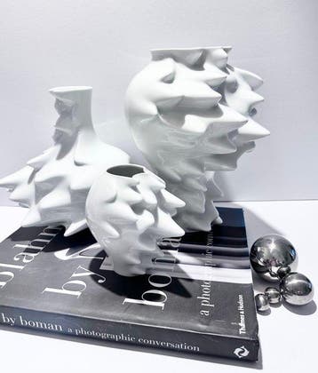 Rosenthal - Cédric Ragot - Vaas (3) - Snel - Porselein