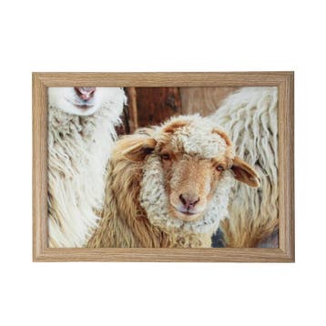 schootkussen schaapjes beige 43cm, Verzenden, Nieuw