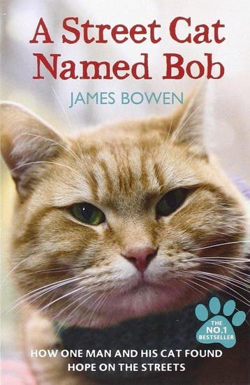 A street cat named Bob / Bob / 1 9781444737110 James Bowen, Verzenden, Gelezen, James Bowen