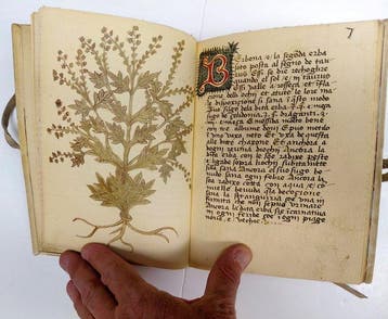 Italië - Venezia-Treviso; Corbo & Fiore - Libro della virtù