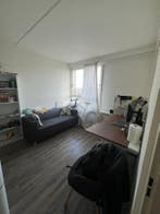 Appartement te huur in Nijmegen - 23 m² - 2 kamer(s) - 2, Appartement, Nijmegen, Gelderland