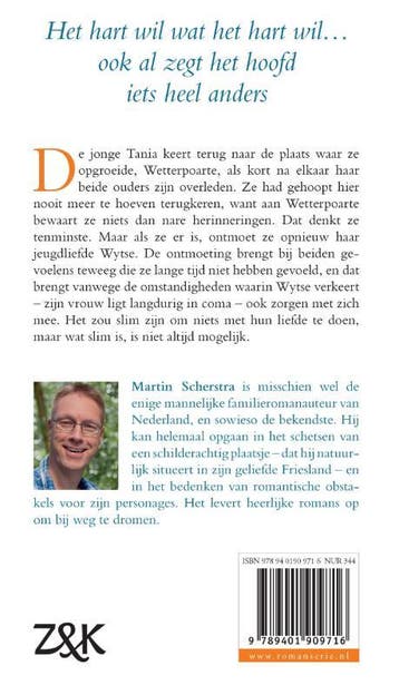 Het baken 9789401909716 Martin Scherstra, Boeken, Verzenden, Zo goed als nieuw, Martin Scherstra