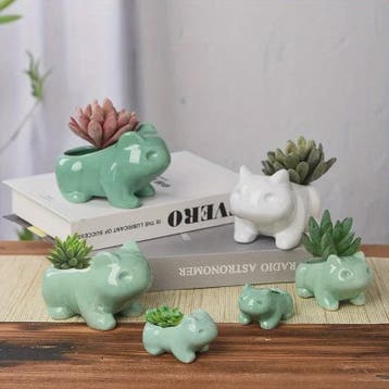 Schattige Keramische Mini Bloempot voor Succulenten & Kleine, Tuin en Terras, Verzenden