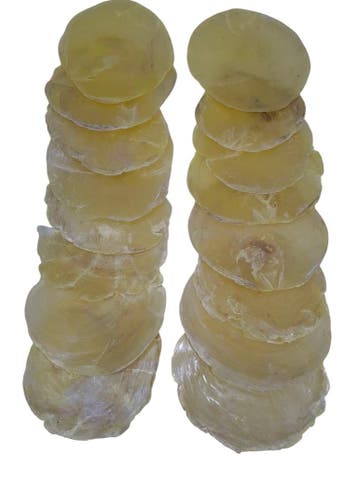 Capiz Camar schelpen Champagne/Geel 250 gram, Ophalen of Verzenden, Nieuw