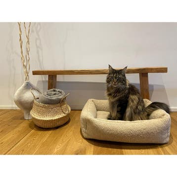 TEDDY Hondenmand CRÈME, Dieren en Toebehoren, Verzenden, Nieuw