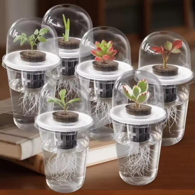Hydrocultuur Kweekbeker Transparant – Root View Zaadplantpot, Tuin en Terras, Bloempotten, Nieuw, Verzenden
