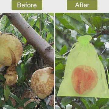 Beschermnetten voor Fruit en Planten - Tegen Vogels, Insecte, Verzenden