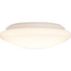 LED Plafondlamp - Badkamerlamp - Trion Puta - Opbouw Rond, Ophalen of Verzenden, Nieuw, Kunststof