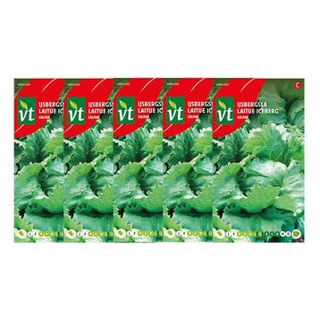 Slazaad  | VT | 5 stuks (IJsbergsla), Verzenden