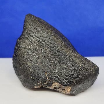 -MUSEUMKWALITEIT- achondrietmeteorit (HED) Fusiekorst met, Verzamelen