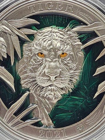 Barbados. 5 Dollars 2021, Colours of Wildlife - Tiger, 3 Oz