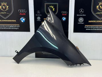 Renault Megane spatbord/voorscherm rechts bj.2010 zwart, Gebruikt, Rechts, Renault, Spatbord