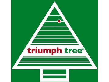 Triumph Tree Forest Frosted Guirlande - LED Verlichting 96, Diversen, Kerst, Verzenden, Nieuw