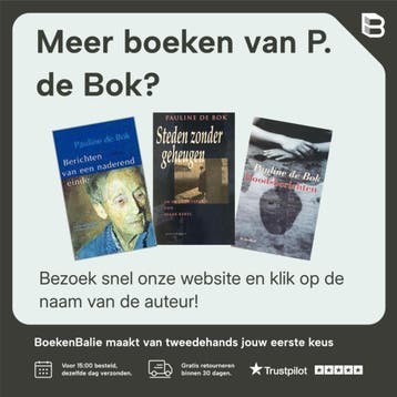 Het land van Lely - P. de Bok 9789085650034, Verzenden, Gelezen, P. de Bok