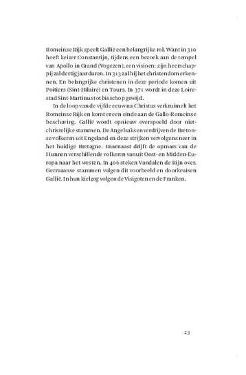 De razende Republiek 9789044634440 Niek Pas, Boeken, Verzenden, Zo goed als nieuw, Niek Pas
