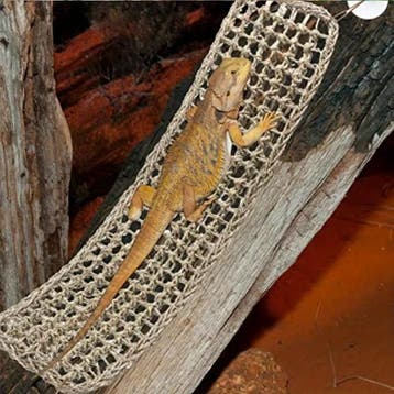 Reptielen Hangmat Lounger voor Gecko Hagedis en Slang, Verzenden, Nieuw