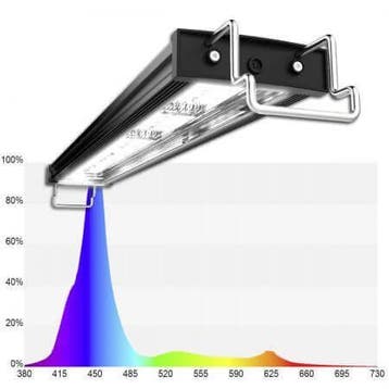 Mitras Lightbar 2 130 Deep Actinic, Ophalen of Verzenden, Nieuw