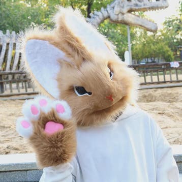 Realistisch Pluche Konijnenmasker - Fursuit Accessoire voor, Hobby en Vrije tijd, Kostuums, Theaterbenodigdheden en LARP, Verzenden
