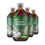 Cactus Vloeibare Meststof - 4x1 Liter, Tuin en Terras, Verzenden, Mest