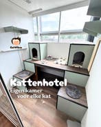Cat Vibes Kattenhotel - jouw kattenopvang tijdens vakantie, Pension of Dagopvang