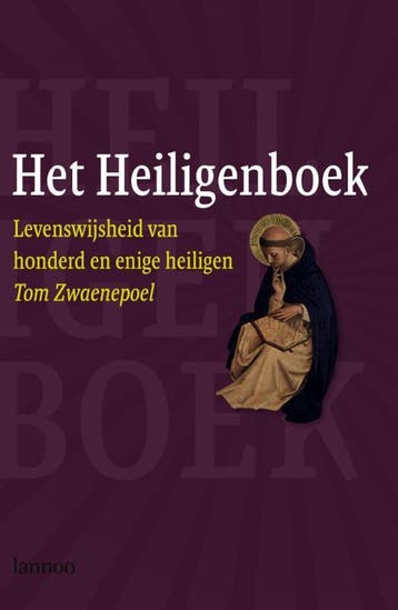 Het Heiligenboek - T. Zwaenepoel 9789020980417, Verzenden, Zo goed als nieuw, T. Zwaenepoel