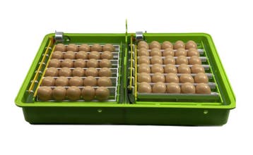 Broedmachine model NAT60SH Automatisch, Dieren en Toebehoren, Pluimvee | Toebehoren, Ophalen of Verzenden, Nieuw, Broedmachine