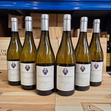 2023 Baron Widmann, Sauvignon - Trentino Alto Adige DOC - 6, Nieuw