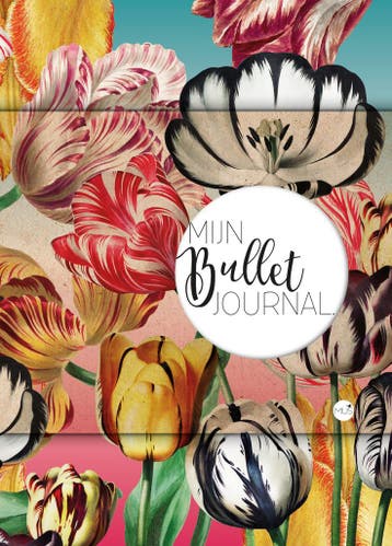 Mijn Bullet Journal - Tulpen (9789045327914), Verzenden, Nieuw