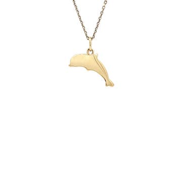 Gouden Dodo hanger dolfijn 18 karaat, Verzenden, Zo goed als nieuw, Goud