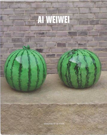 Ai Weiwei - Karen Smith 9789056622527, Verzenden, Zo goed als nieuw, Karen Smith