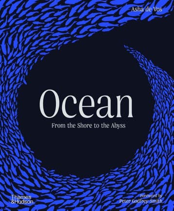 Ocean | Asha de Vos | Nieuw, Ophalen of Verzenden, Nieuw, Asha de Vos