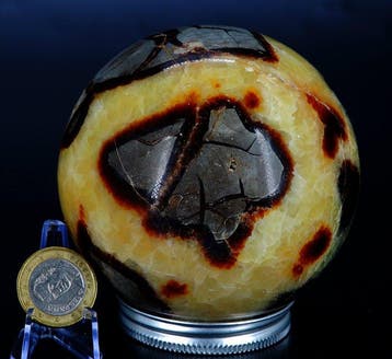 Dragons Rock, Septarian knol Bol - Hoogte: 9 cm - Breedte: 9