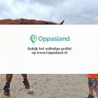 Natalie zoekt een oppas in Wilbertoord voor 2 kinderen.