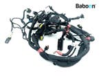 Kabelboom Ducati Monster 797 2017-2019 (M797) (51410811B), Verzenden, Gebruikt