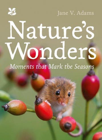 9781911657521 National Trust- Natures Wonders, Verzenden, Nieuw, Jane V. Adams