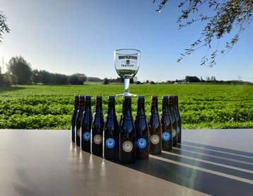 Westvleteren - XII en VIII met origineel glas - 33cl - 12, Nieuw